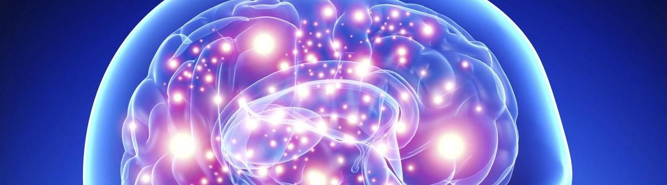 Drac_morbis Drac_morbis